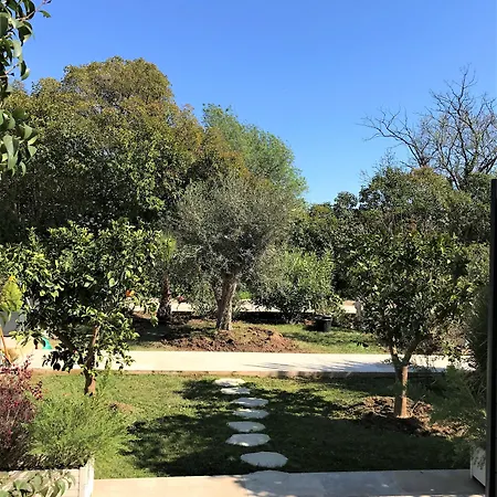 Domaine De L'aufrene Bed & Breakfast