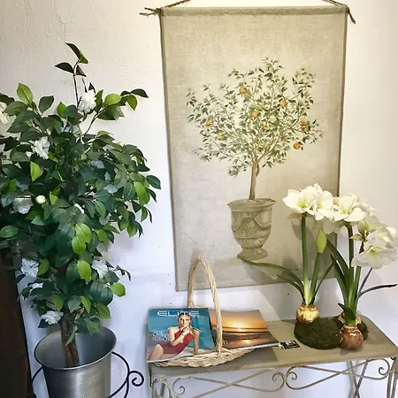 Domaine De L'aufrene Bed & Breakfast