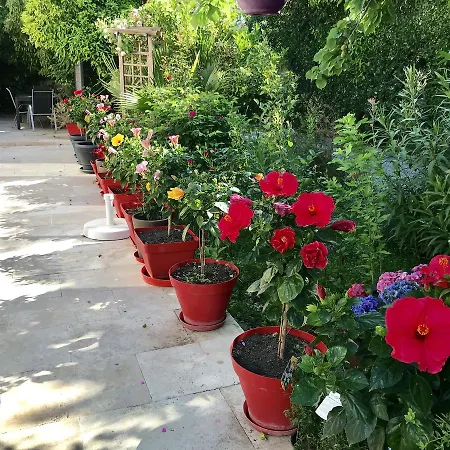 Bed & Breakfast Domaine De L'aufrene 3*